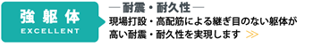 「強躯体」　耐震・耐久性 - 現場打設・高配筋による継ぎ目のない躯体が高い耐震・耐久性を実現します
